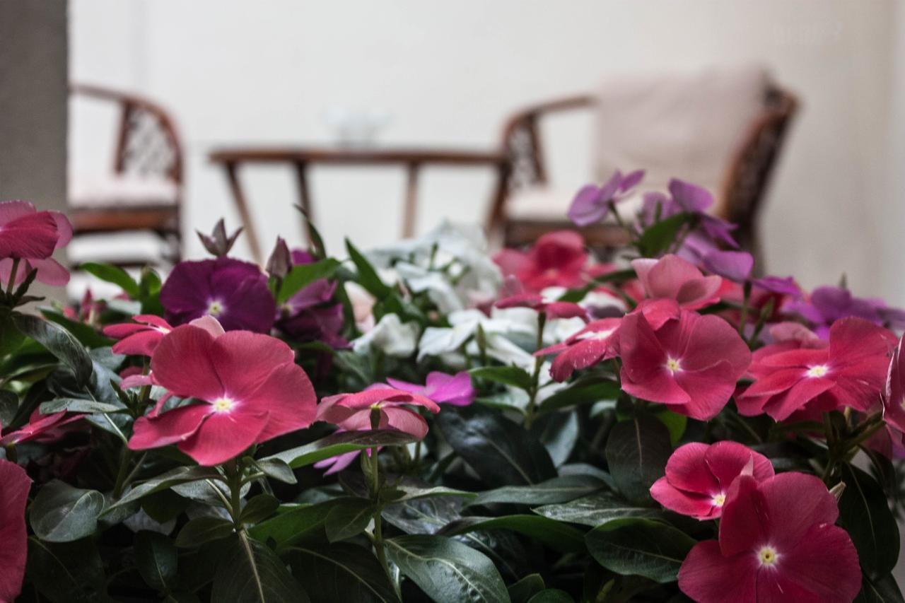 Bed & Breakfast Melior Szálló Eger